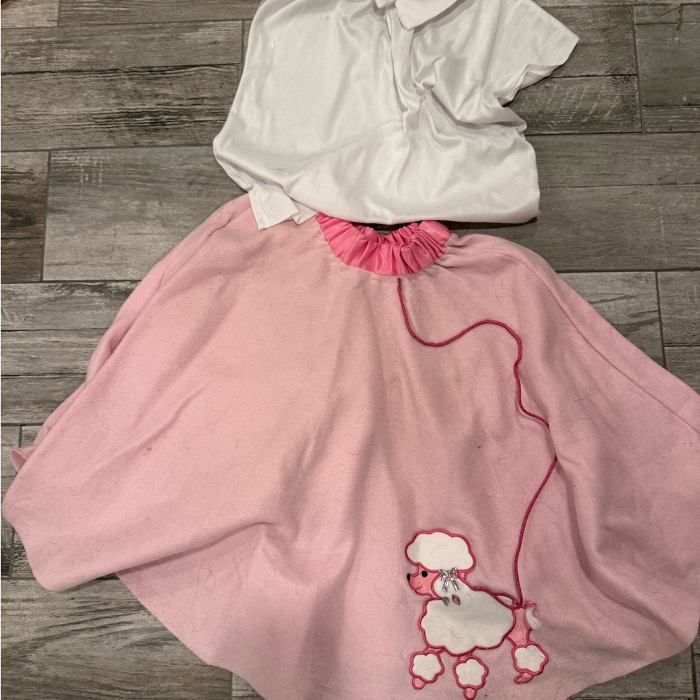 Pink Poodle Skirt with White Top